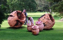 Gum Nuts 2010